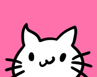 9catnft nft blockchain cute cat cat game GIF