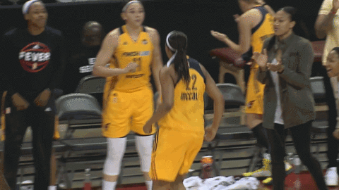 basketball sport GIF by Indiana Fever