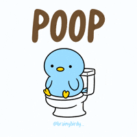 brainybirdy bird damn oops poop GIF