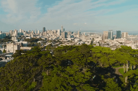california GIF