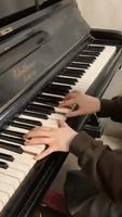 Piano Player in Kharkiv Performs Before Evacuation