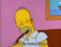 Season 2 Episode 13 GIF by The Simpsons
