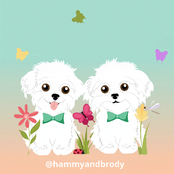 Dogs Puppy GIF by HammyandBrody