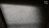 Film Festival GIF by Atlanta Jewish Film Festival