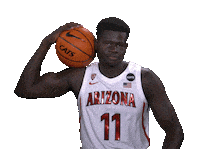 Arizona Wildcats Sticker by Arizona Men's Basketball