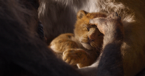 the lion king simba GIF by Walt Disney Studios