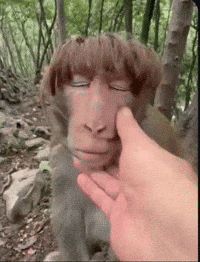 Relaxing Its Okay GIF