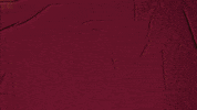 College Baseball GIF by Pearl River Athletics