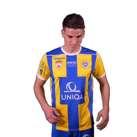 Football Sport Sticker by FirstViennaFC