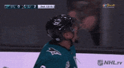 happy ice hockey GIF by NHL