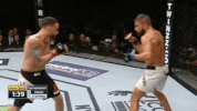 ufc 205 mma GIF by UFC