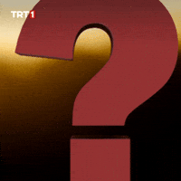 Question Mark Wow GIF by TRT