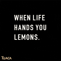 Tuaca party cheers drinking shot GIF