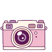Fashion Camera Sticker by Tickled Teal