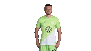 Three Points Win Sticker by VfL Wolfsburg