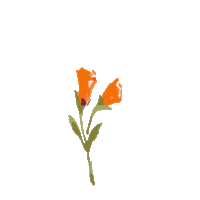Grow Flower Power Sticker