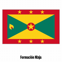 Flag Bandera GIF by Formación Ninja
