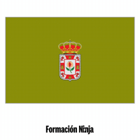 Flag Pixel Art GIF by Formación Ninja
