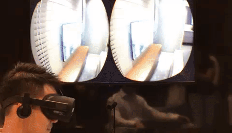 GIF by Mashable