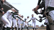 north dakota state bison GIF by NDSU Athletics
