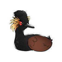 Firuo_drawingbirds grebe eared grebe 鸊鷉 black-necked grebe Sticker