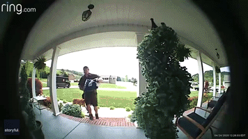 Paws for Thought: UPS Driver Plays With Dog During Delivery