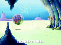 season 6 dear vikings GIF by SpongeBob SquarePants