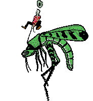 mosquito STICKER