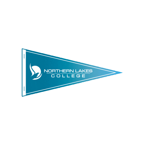 Nlcgrad Sticker by NLC