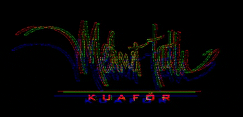 mehmettatli giphygifmaker GIF