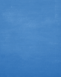 GIF by Shark Week