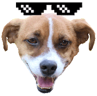 dropshirt dog cool nice thuglife Sticker