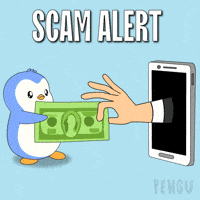 Penguin Stay Safe GIF by Pudgy Penguins