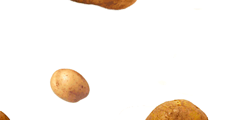 potato GIF