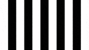 Football Sport GIF by SK Sturm Graz