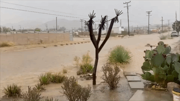 Heavy Rains Cause Flooding in Joshua Tree, California