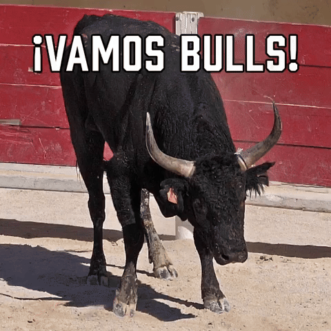 ¡Vamos Bulls!