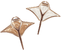 Manta Pendant Sticker by Oevaali Art Shop