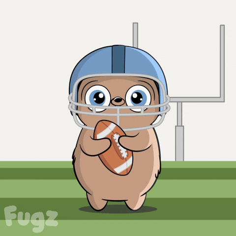 Super Bowl Win GIF by Fugz Official