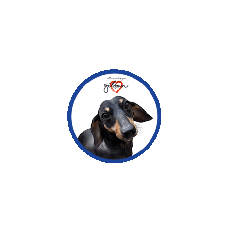 Sausage Dog Dachshund Sticker by Pimp Yo Pets