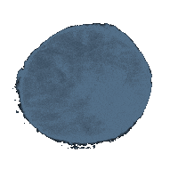 Circle Sticker