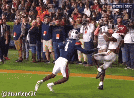 Alabama Football GIF