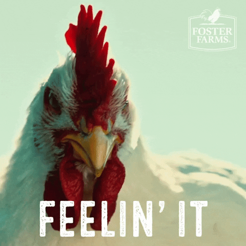 fosterfarms giphyupload reaction happy excited GIF