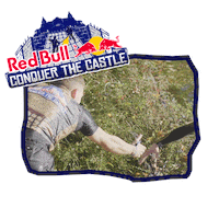 Conquer Red Bull Sticker by RedBullDanmark