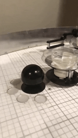 seanirby giphyupload GIF