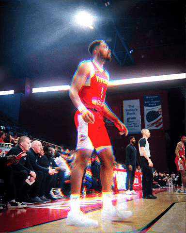 RioGrandeValleyVipers giphyupload GIF