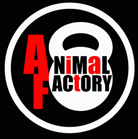 Af GIF by Animal Factory