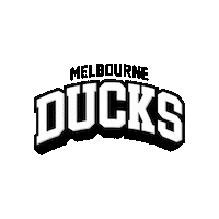 Ice Hockey Melbourne Sticker by icehq