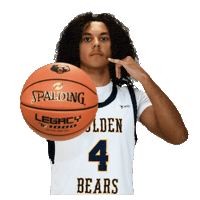 Basketball Sticker by WVU Tech Golden Bears