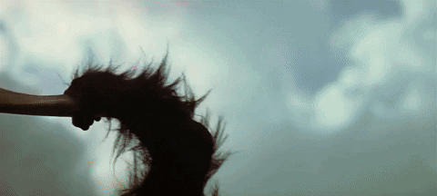 Disciplinatha giphyupload GIF